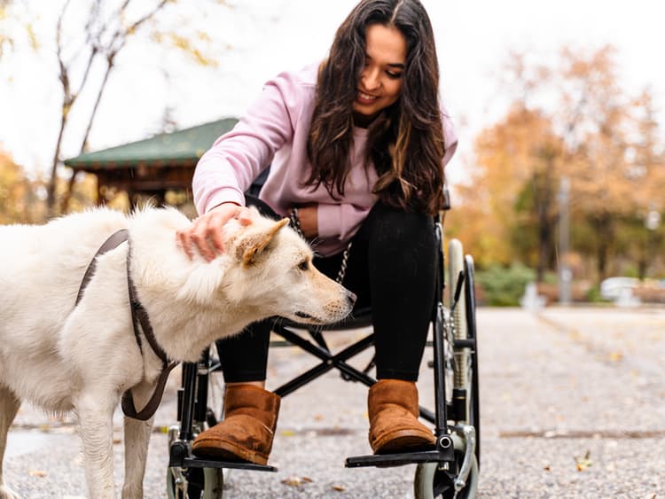 How to Register Your Dog as a Service Dog