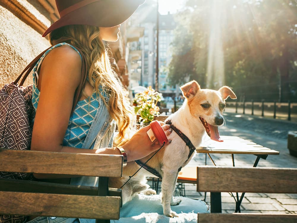 The 10 Most Dog-Friendly US Cities to Visit With Your Pup This Summer