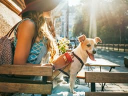 The 10 Most Dog-Friendly US Cities to Visit With Your Pup This Summer