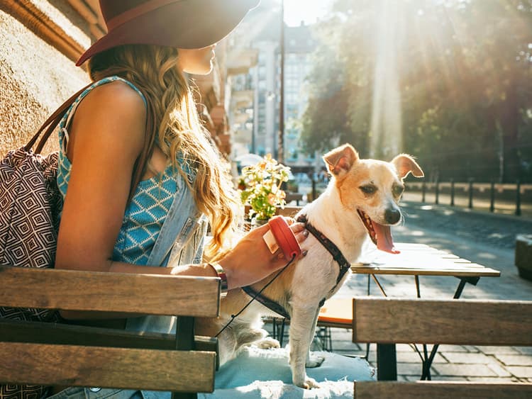 The 10 Most Dog-Friendly US Cities to Visit With Your Pup This Summer