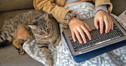 Understanding Pet Health Records