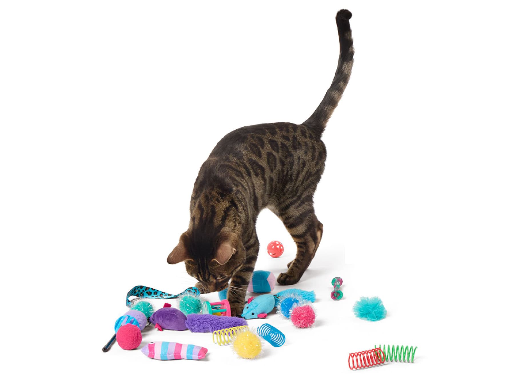 Whisker City® Variety Pack of Cat Toys