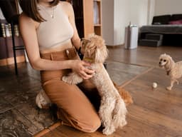 How to Know if Your Dog Has Imprinted on You