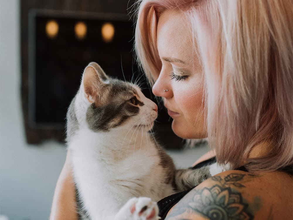 10 Affectionate Cat Breeds Who Can’t Get Enough of You