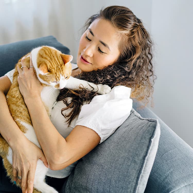 Your Cat’s Anal Glands Are Leaking