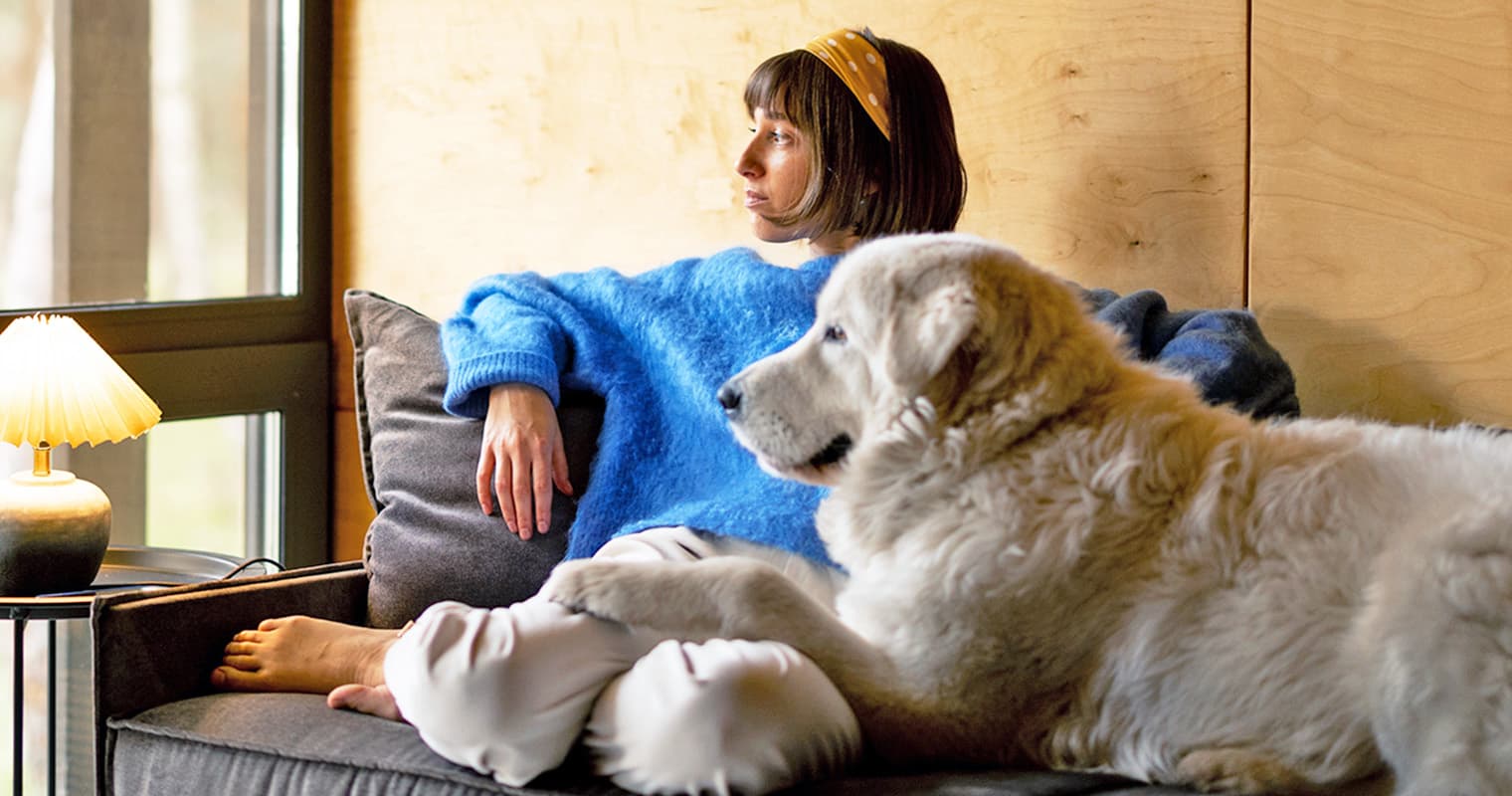 What Happens When Animal Control Is Called on You?