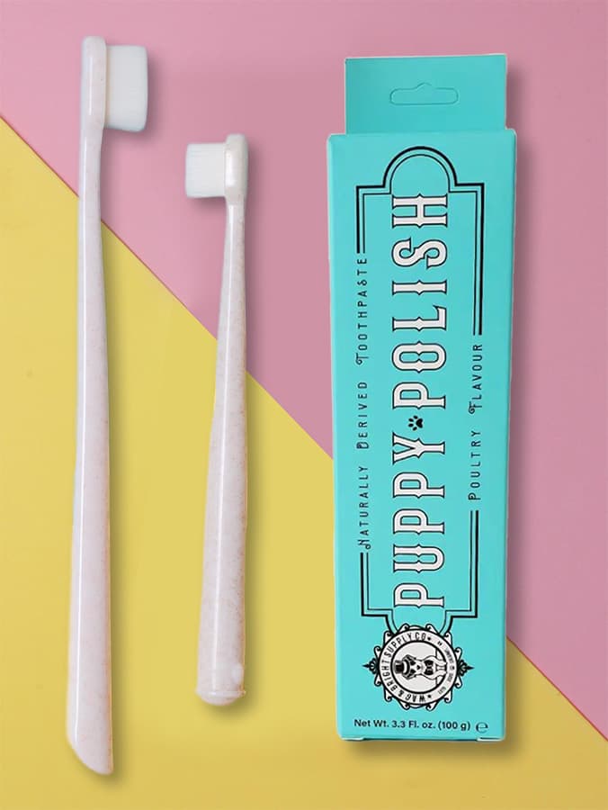 The New Status Grooming Product is Toothpaste — For Your Dog