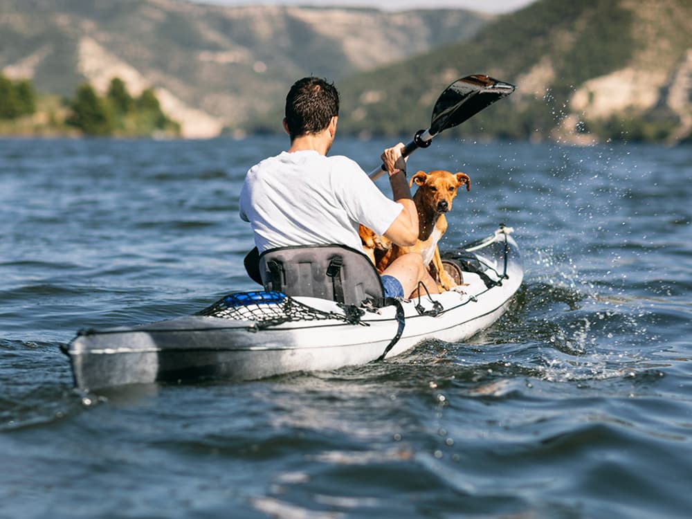 How to Safely Kayak with Your Dog