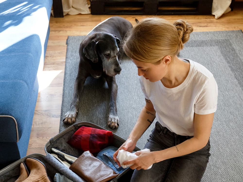 How to Find the Dog Sitter Your Dog Deserves