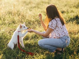 Why You Shouldn’t Be Skeptical of Positive Training Methods