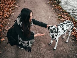 Hey, Why Is Your Dog Ignoring You?