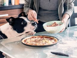 Can Dogs Eat Mushrooms?