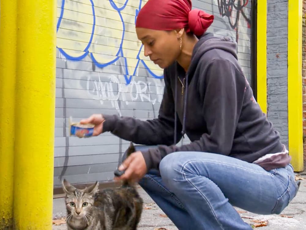 How Sassee Walker Is Single-Handedly Saving Brooklyn’s Neediest Cats
