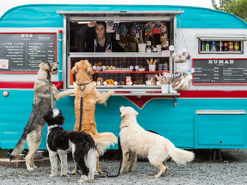 9 of the Best Food Trucks For Dogs in the US