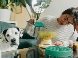 Should You Put Your Dog on a Low-Calorie Diet?
