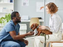 Pet Check-Up: 10 Tips for a Better Vet Visit