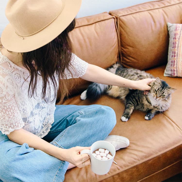 Can Cats Eat Marshmallows?