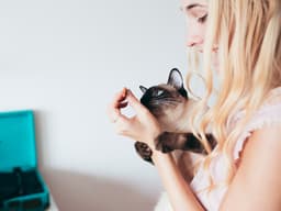 Can Cats Eat Ham?