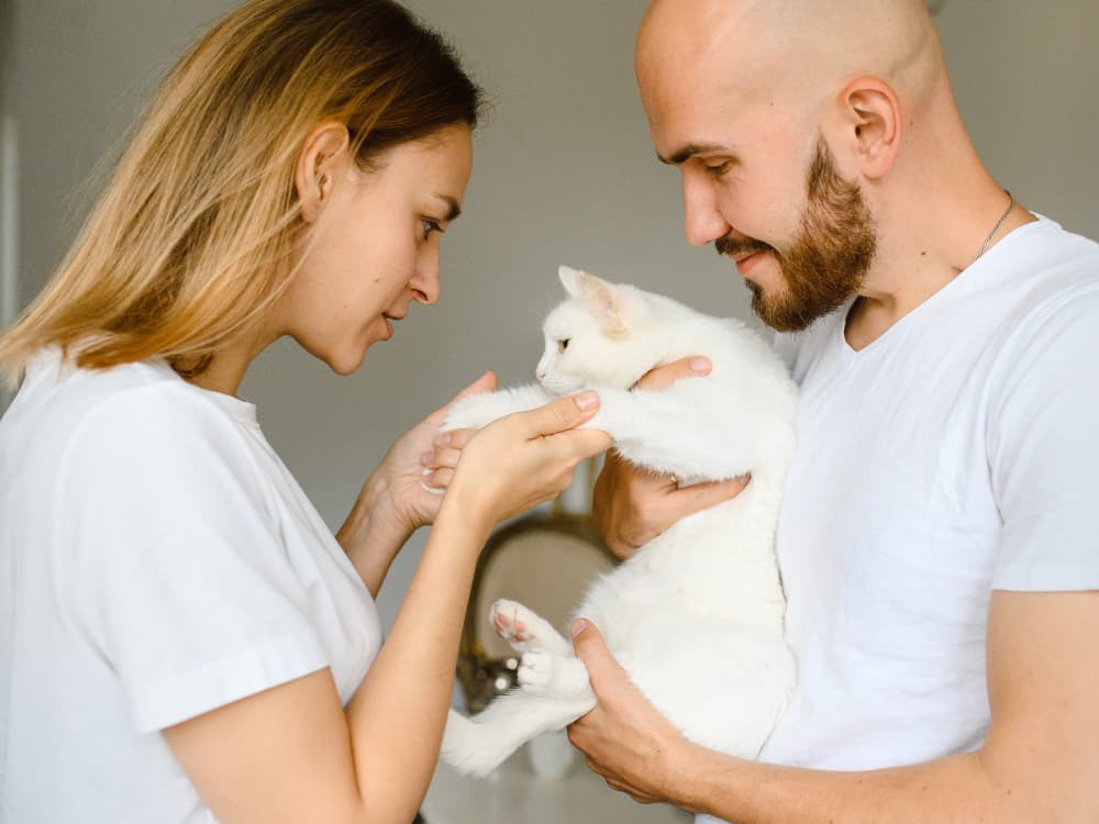 How to Introduce Your Cat to Your Partner