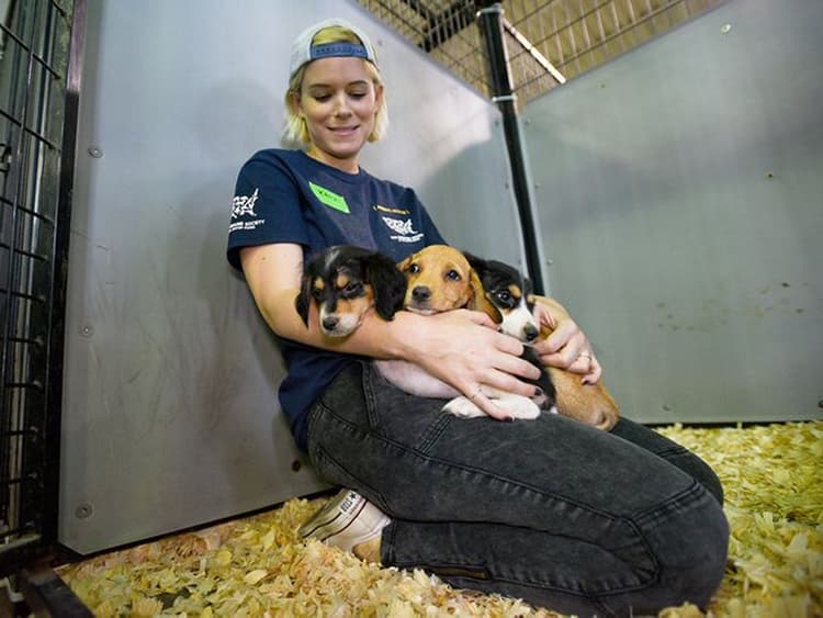 Kate Mara Is Funding the Adoption Fees of 10 Georgia Pups Who Need Homes