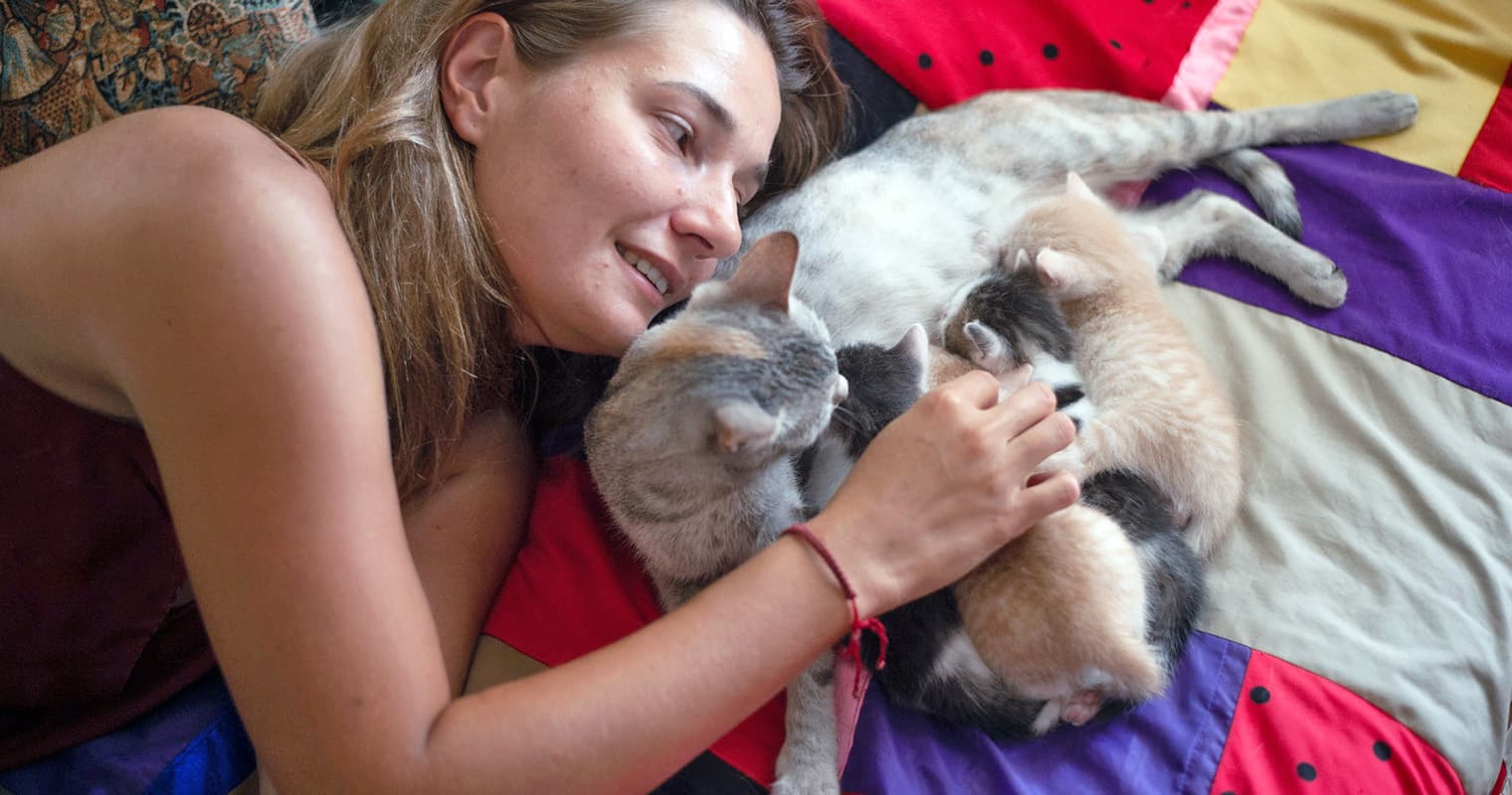 How Long Are Cats Pregnant?