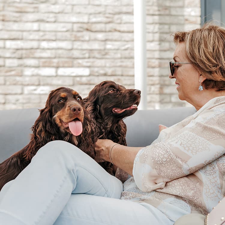 Best Dogs for Seniors: What Characteristics Match Your Lifestyle?