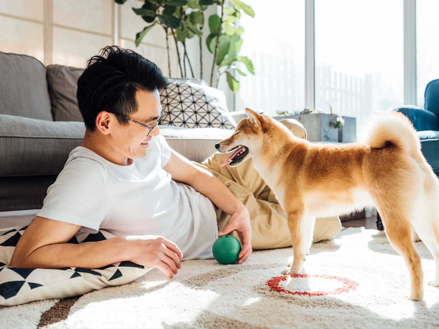 How to Puppy Proof Your Home
