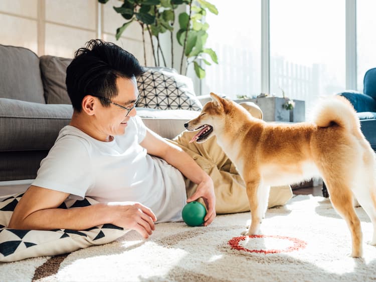 How to Puppy Proof Your Home