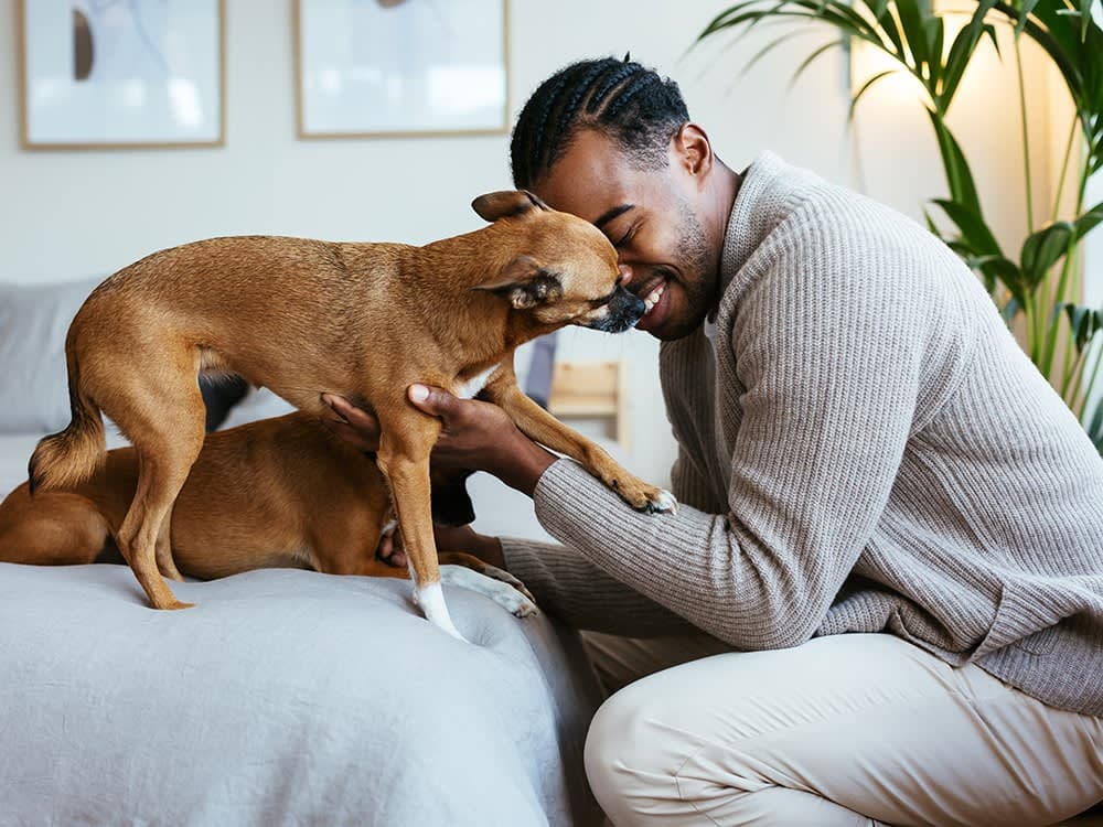 5 Tips to Make Pet Costs More Affordable