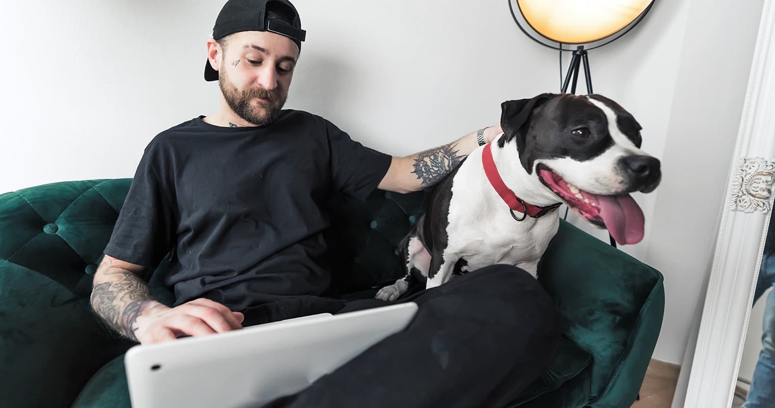 What Does It Mean to Rehome a Pit Bull?