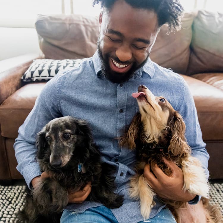 15 Long-Haired Dogs Who Put Your Blowout to Shame