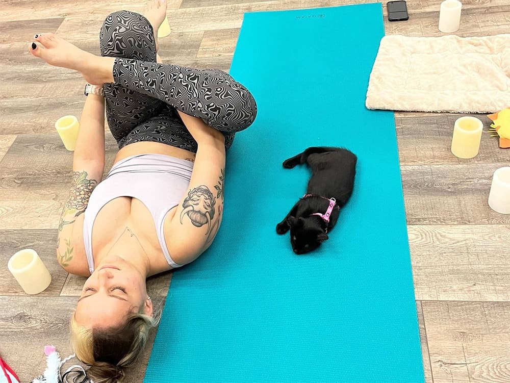 woman doing yoga with kitten