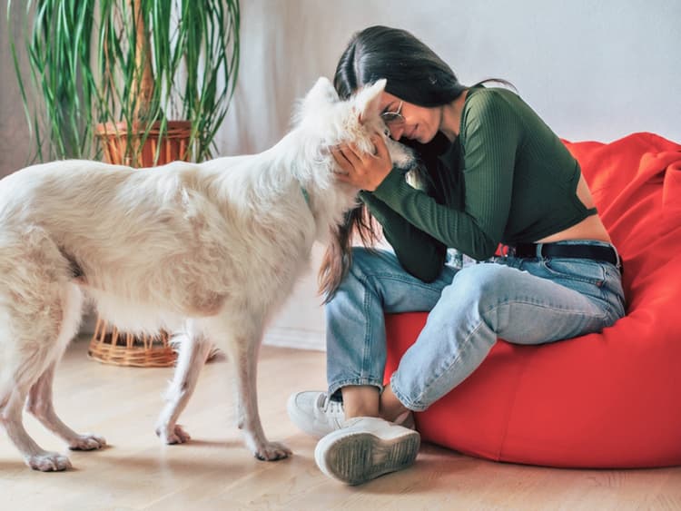 7 Things I Wish People Knew About My Deaf Dog—and Why You Should Adopt One