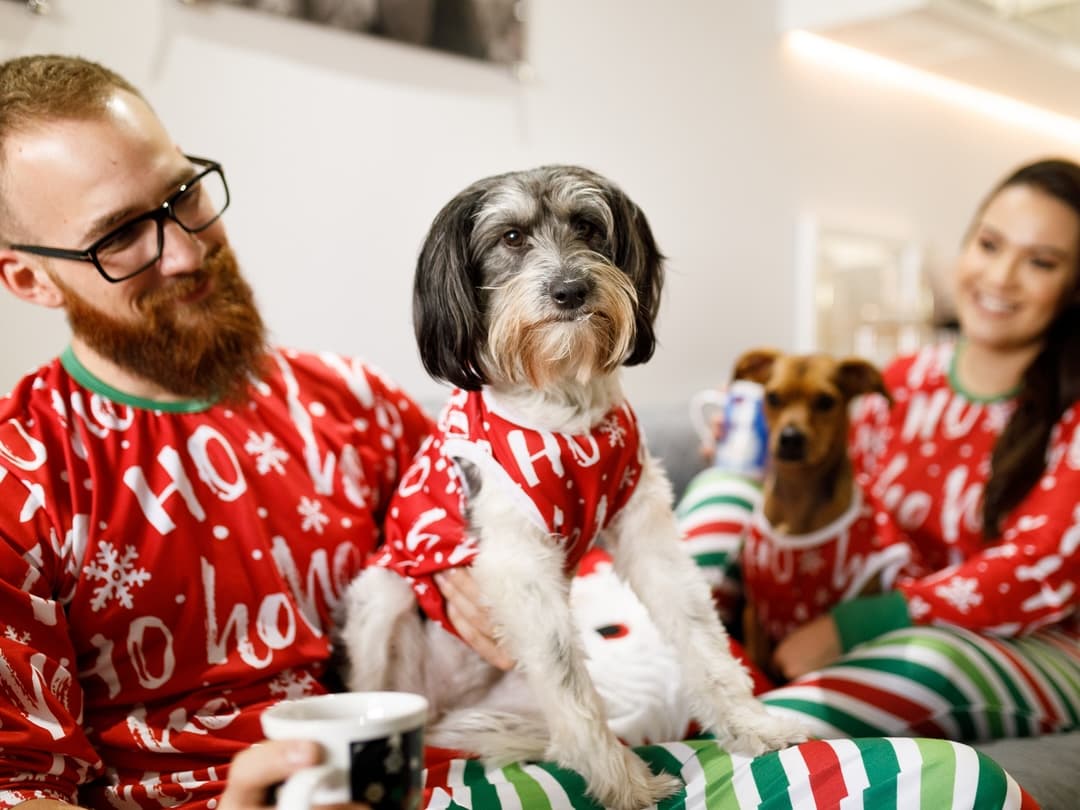 How to Make Sure Your Dog Isn’t Miserable in Their Holiday Pajamas
