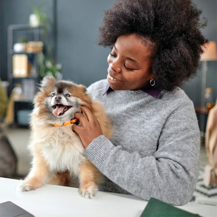 11 Natural Products That Can Help Your Dog Live Longer
