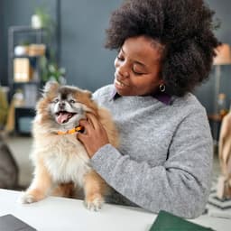 11 Natural Products That Can Help Your Dog Live Longer