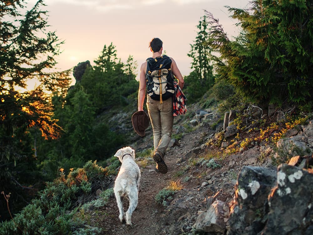 Hikes & Hops: 8 Great Dog-Friendly Spots in the Midwest