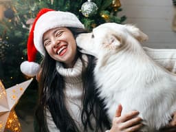 7 Reasons Why You Should Foster a Pet Over the Holidays