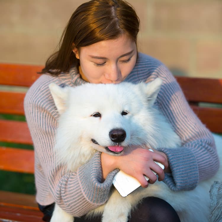 18 Fluffy Dog Breeds You’ll Love—Even When They Leave Fur on Everything