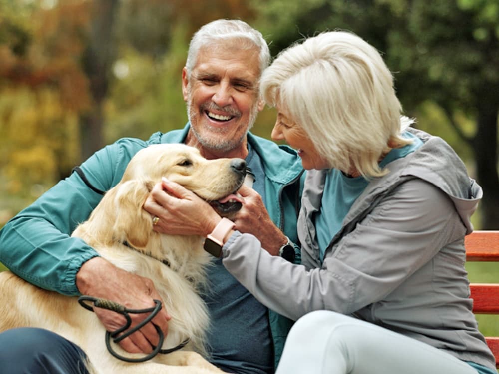 Why Are Dogs So Obsessed With Their Human Grandparents?