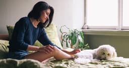 Are There Pets For People With Allergies?