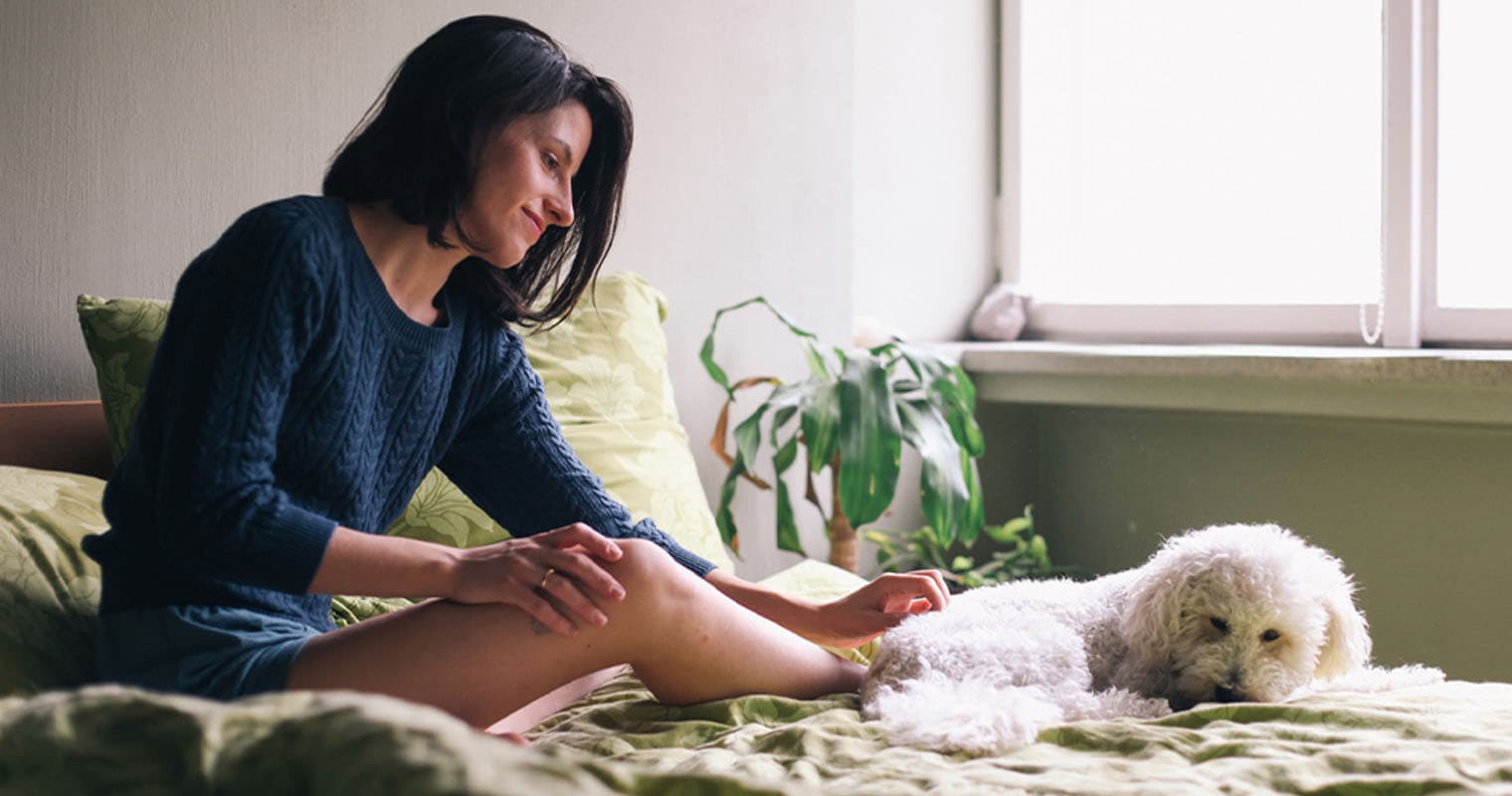 Are There Pets For People With Allergies?