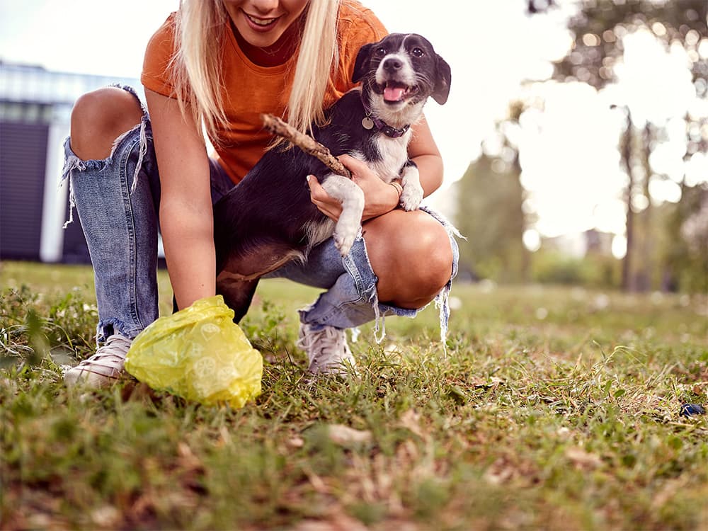 Why You Should Never, Ever Leave Dog Poop On The Ground