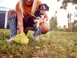 Why You Should Never, Ever Leave Dog Poop On The Ground