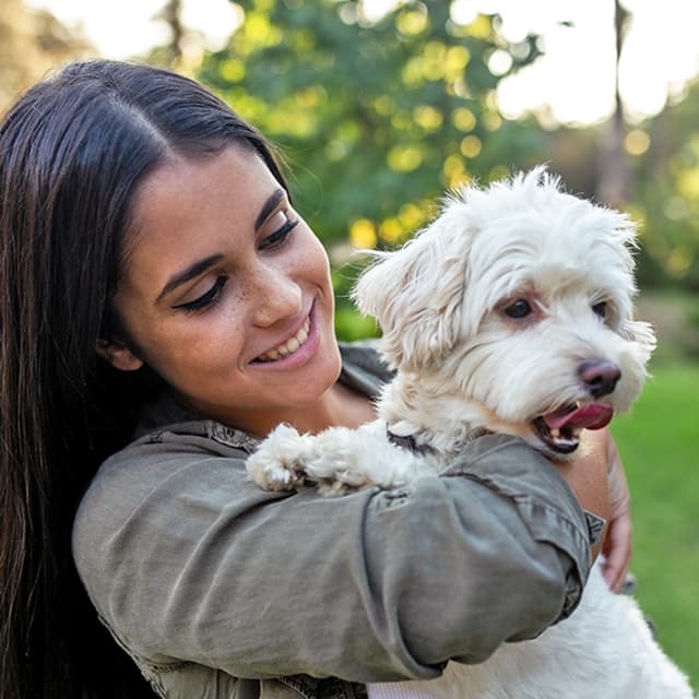 3 College Students on How Fostering Pets Helped Them Get Through School