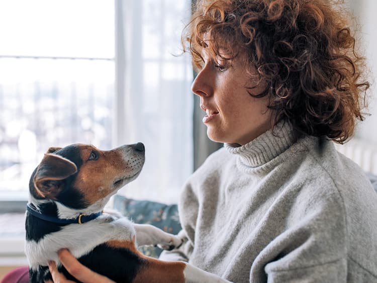 Does It Affect Your Dog if You Change Their Name After Adopting Them?
