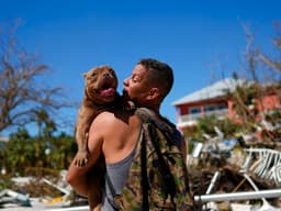 How to Help the Animals Affected by Hurricane Ian