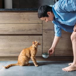 How to Get a Cat to Drink Water