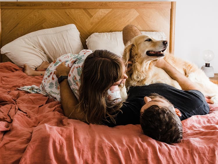 How to Stop Your Dog From Ruining Your Sex Life