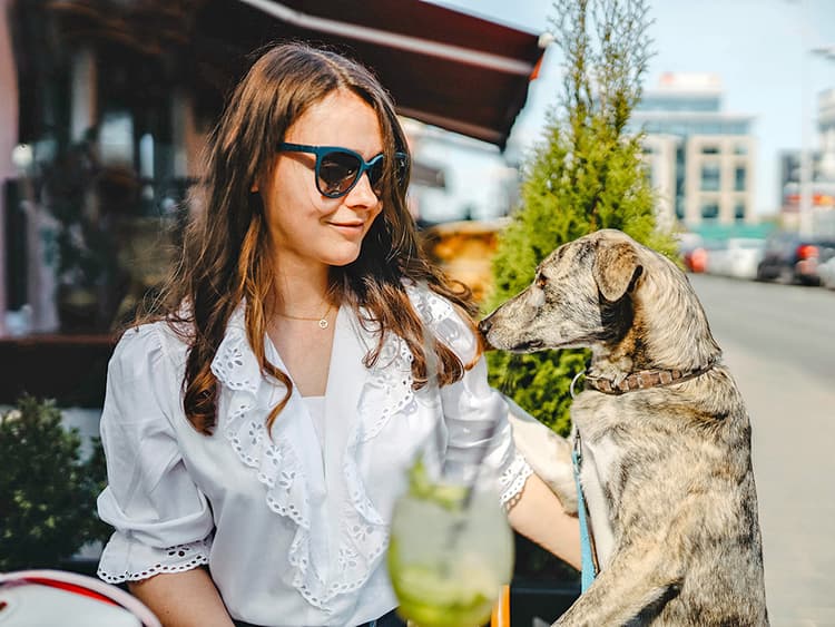 5 Ways to Make Sure Your Dog Behaves When You Bring Them to a Restaurant